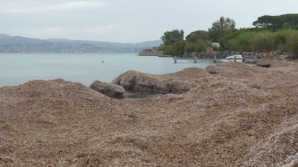 Saint-Tropez
