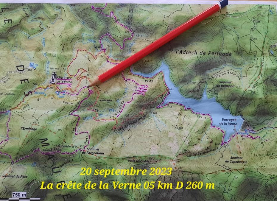 Chartreuse de La Verne