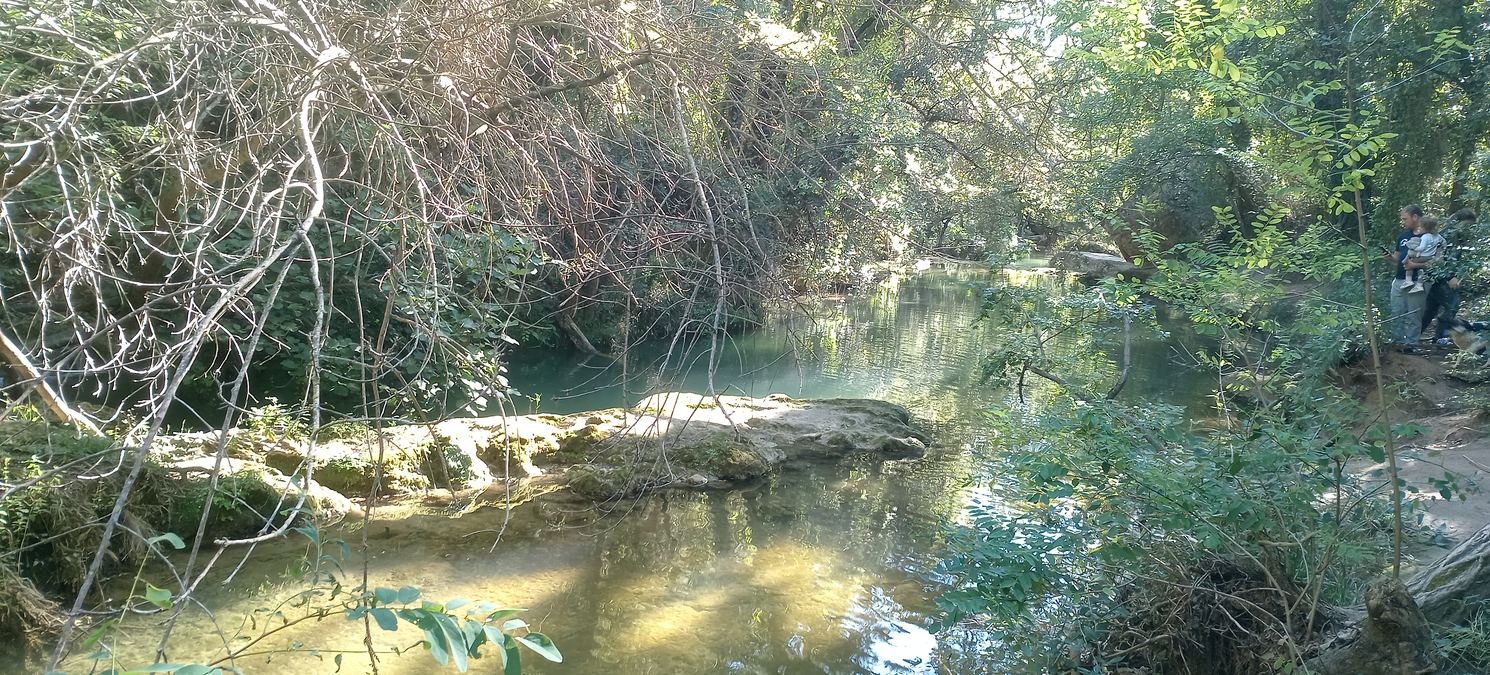 Sillans la Cascade