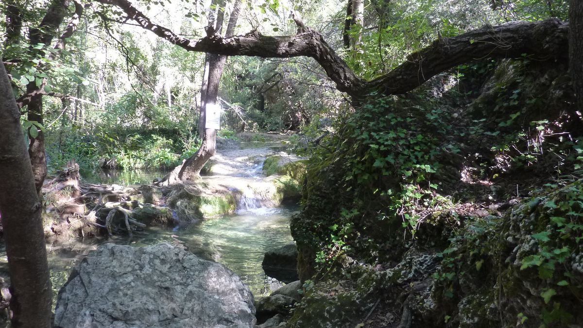 Sillans la Cascade