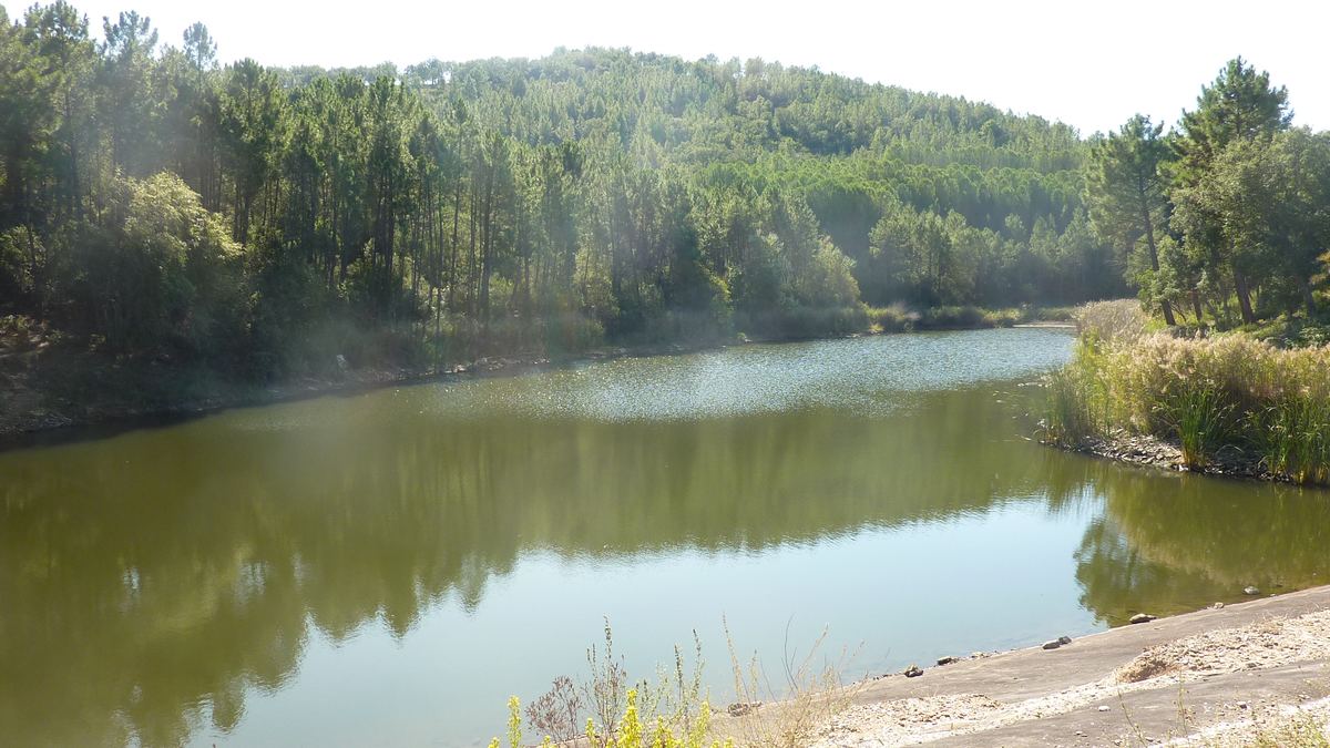 Pierrefeu, le Crapaud