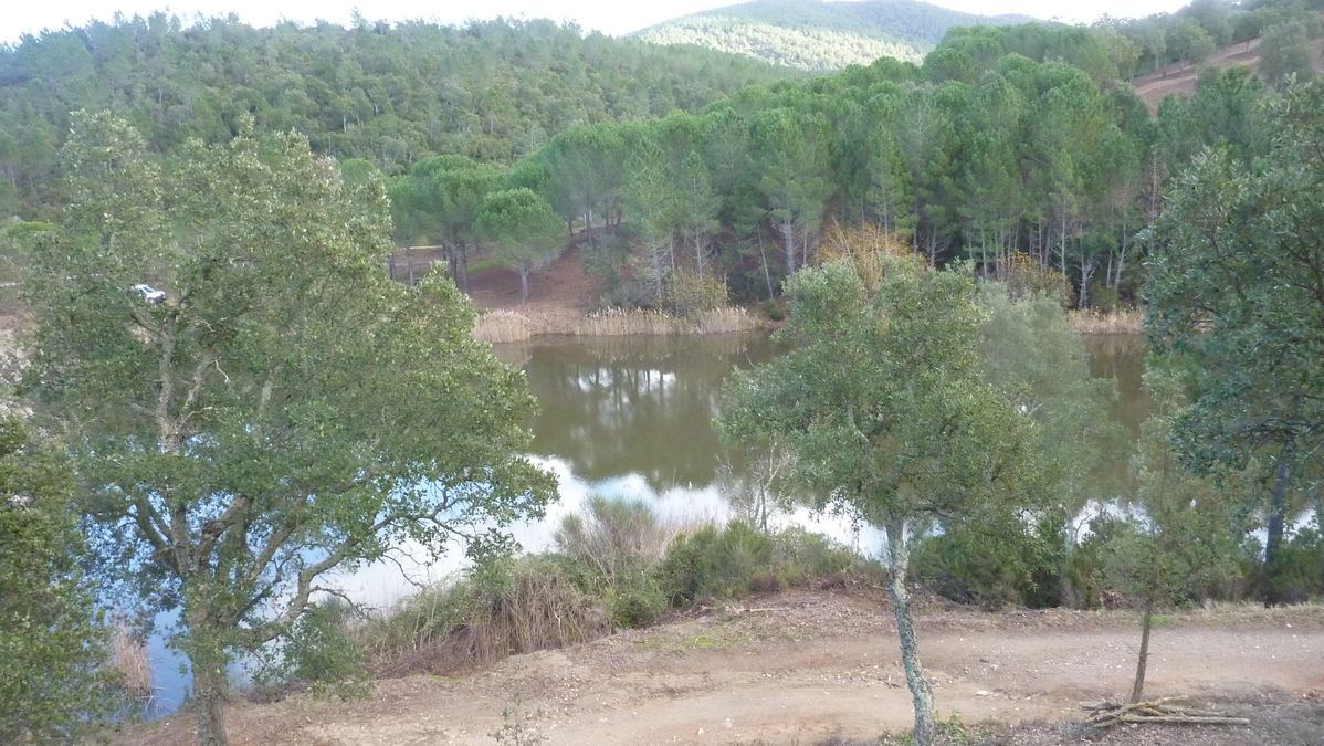 Pierrefeu, le Crapaud