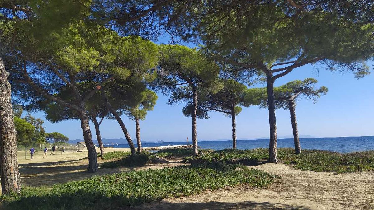 Les Salins