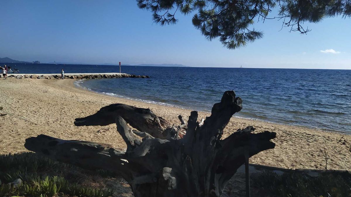 Les Salins