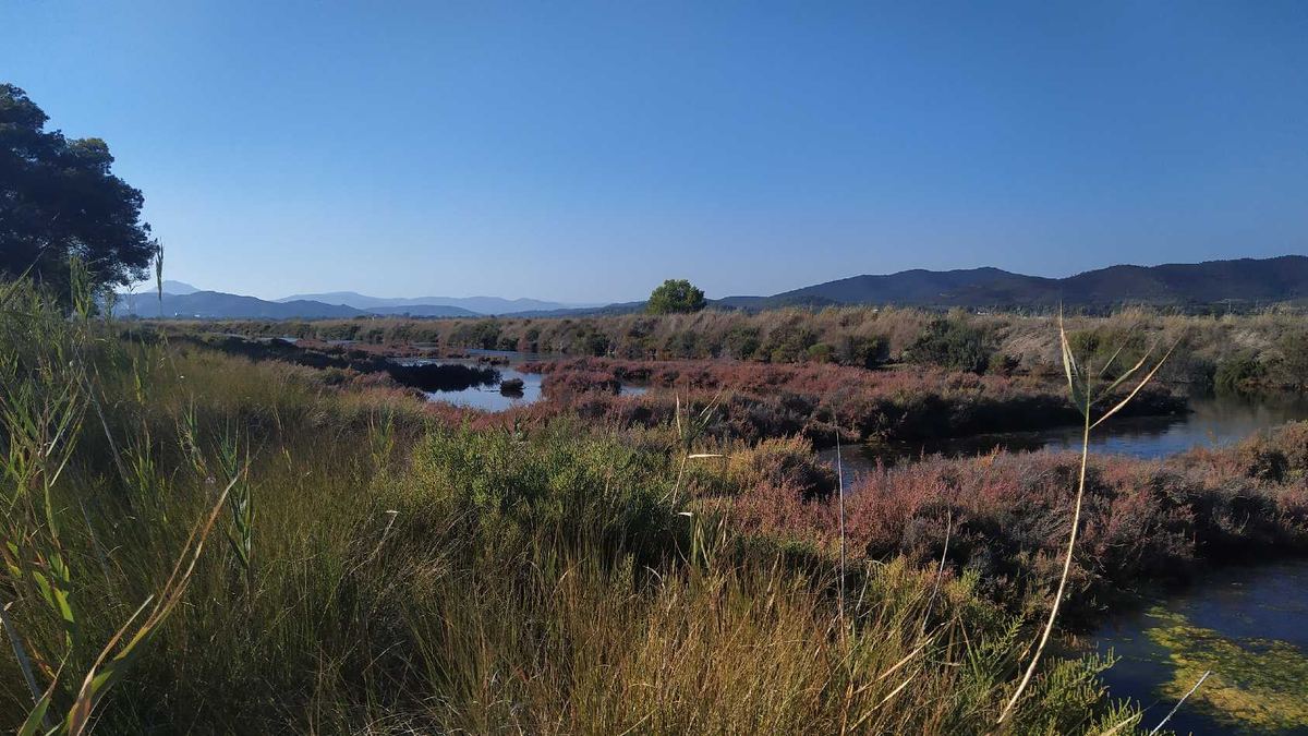Les Salins
