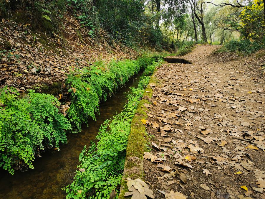 Carcès, tour du lac