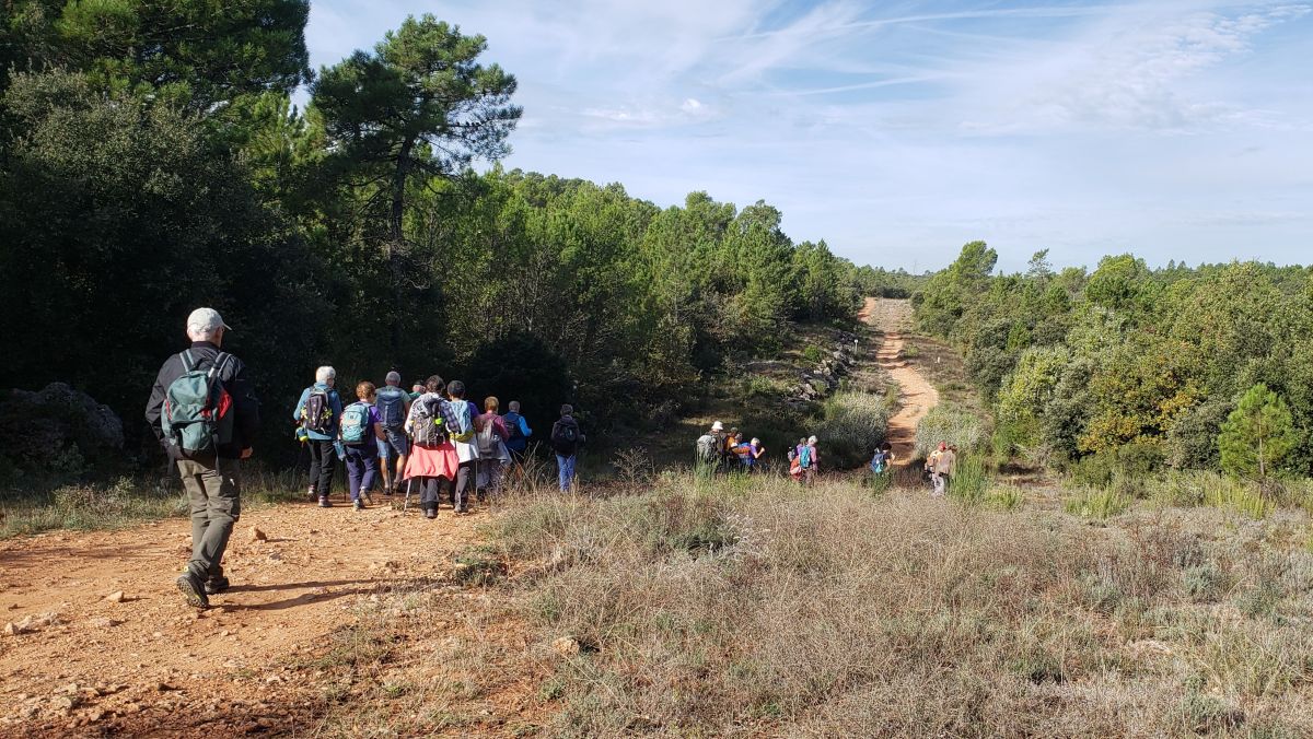 Brignoles, les dolmens