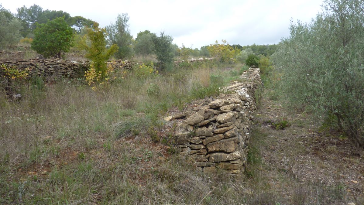 Le Beausset, la tête de Cade