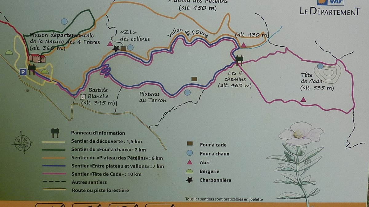 Le Beausset, la tête de Cade