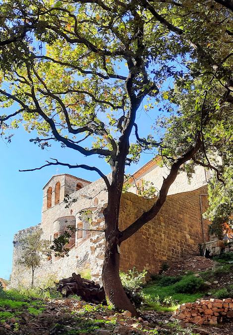 Rocbaron, le Vieux Puget
