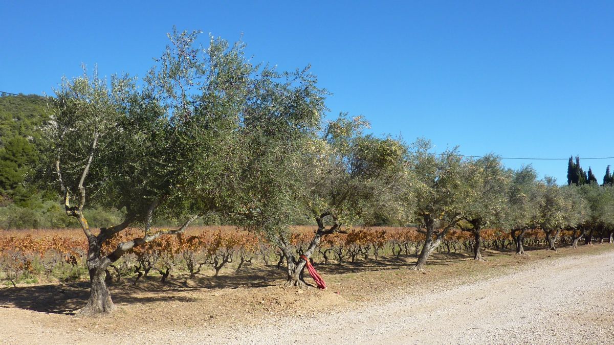 Le Val, les 3 chapelles
