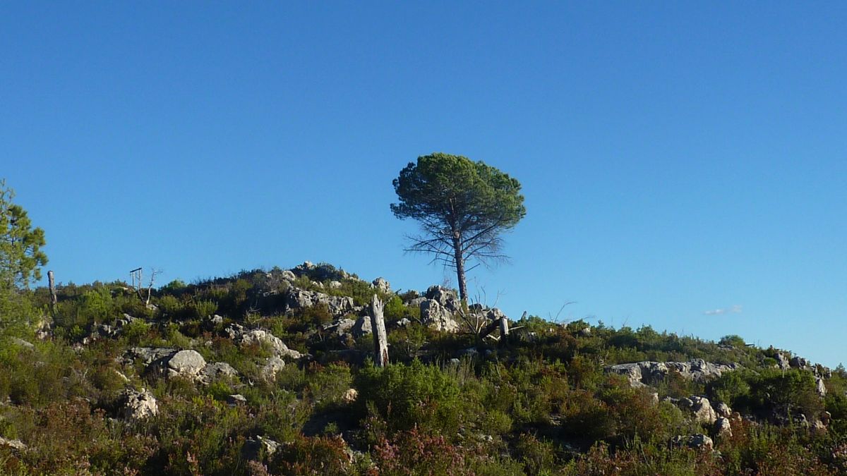 Le Val, les 3 chapelles