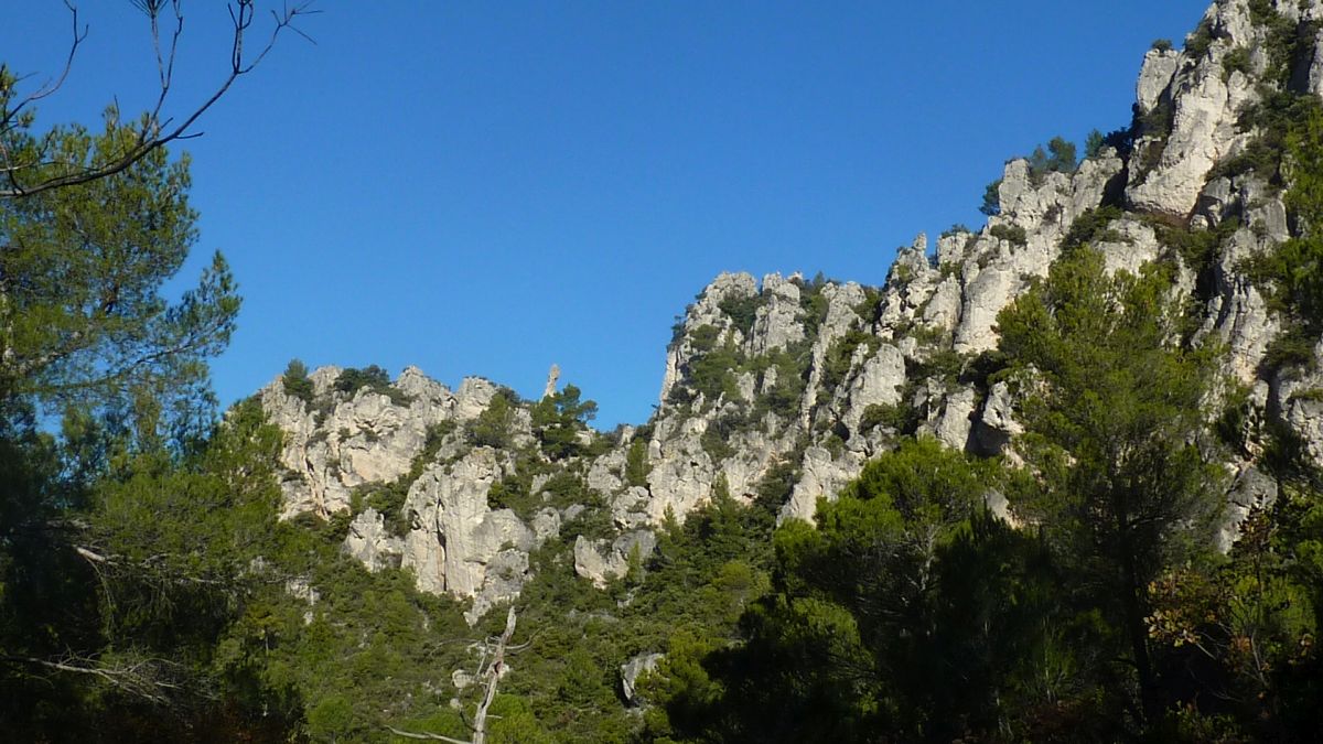 La Roquebrussanne, les Molières
