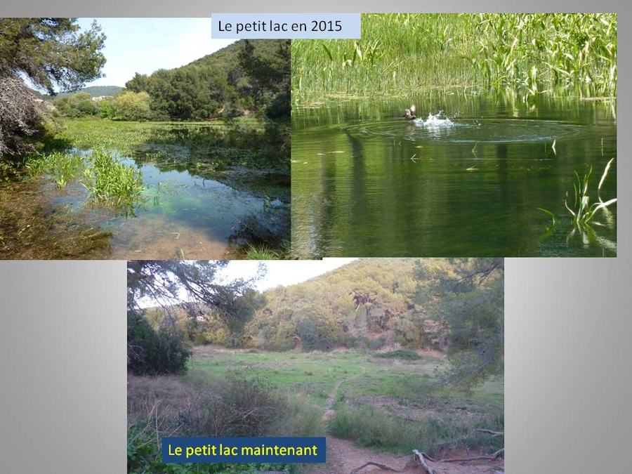 Carqueiranne, le petit lac