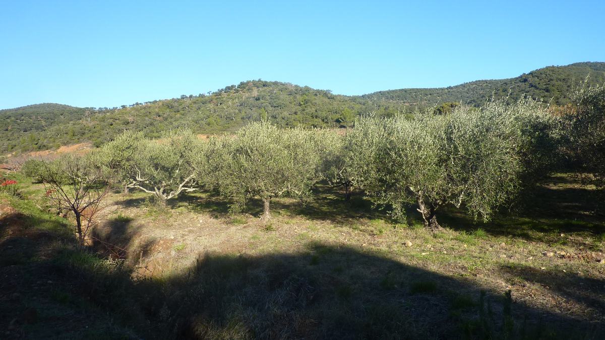 Pierrefeu, le petit Peyrol