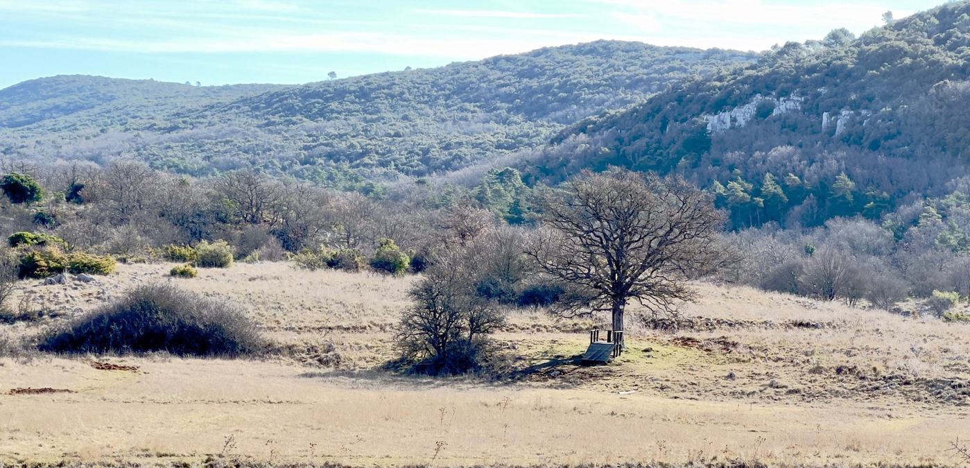 Signes, l’ubac du Gaget