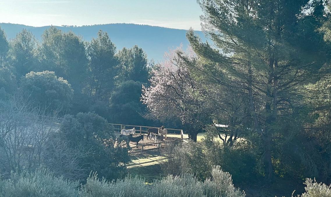 Le Garlaban, sentier des scolopendres