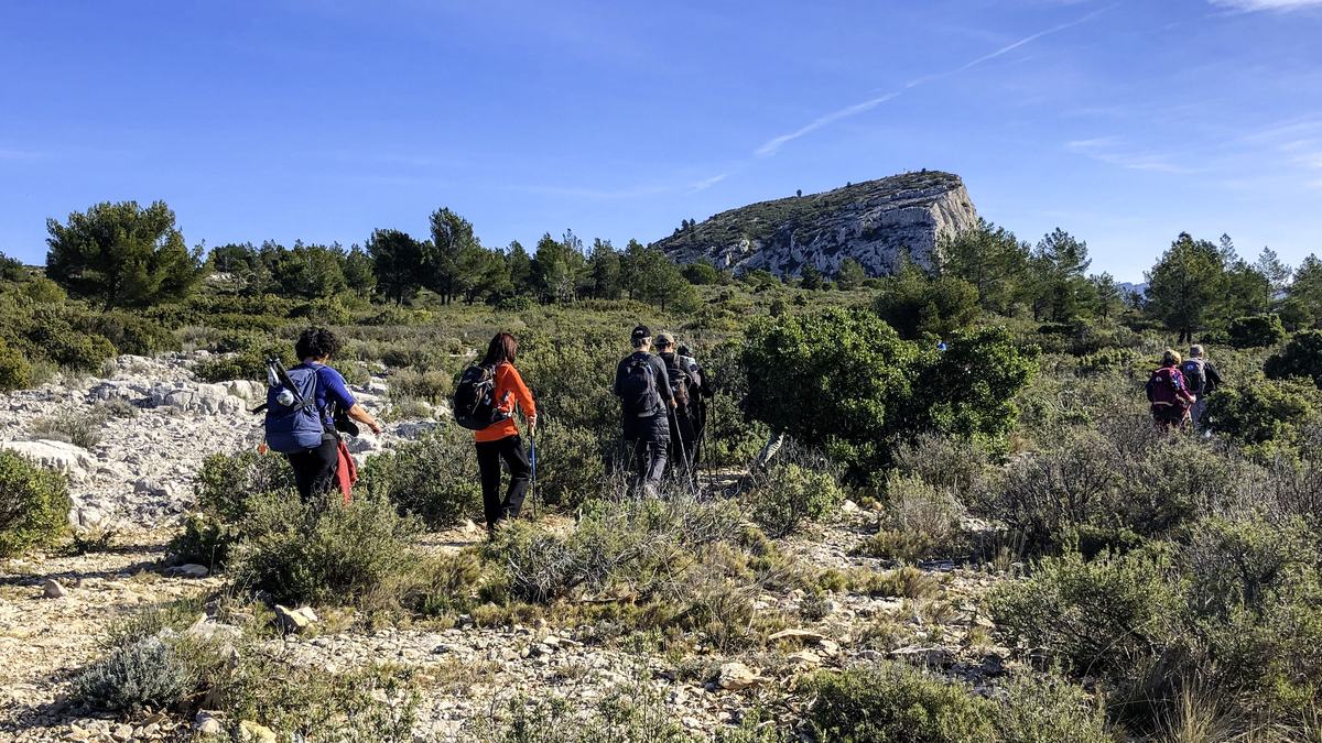 Le Garlaban, sentier des scolopendres