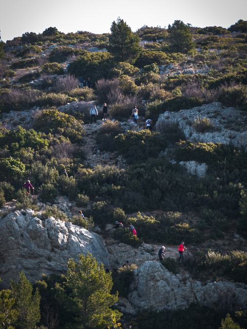 Le Garlaban, sentier des scolopendres