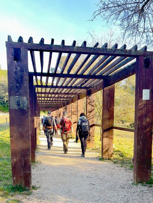 Le Garlaban, sentier des scolopendres