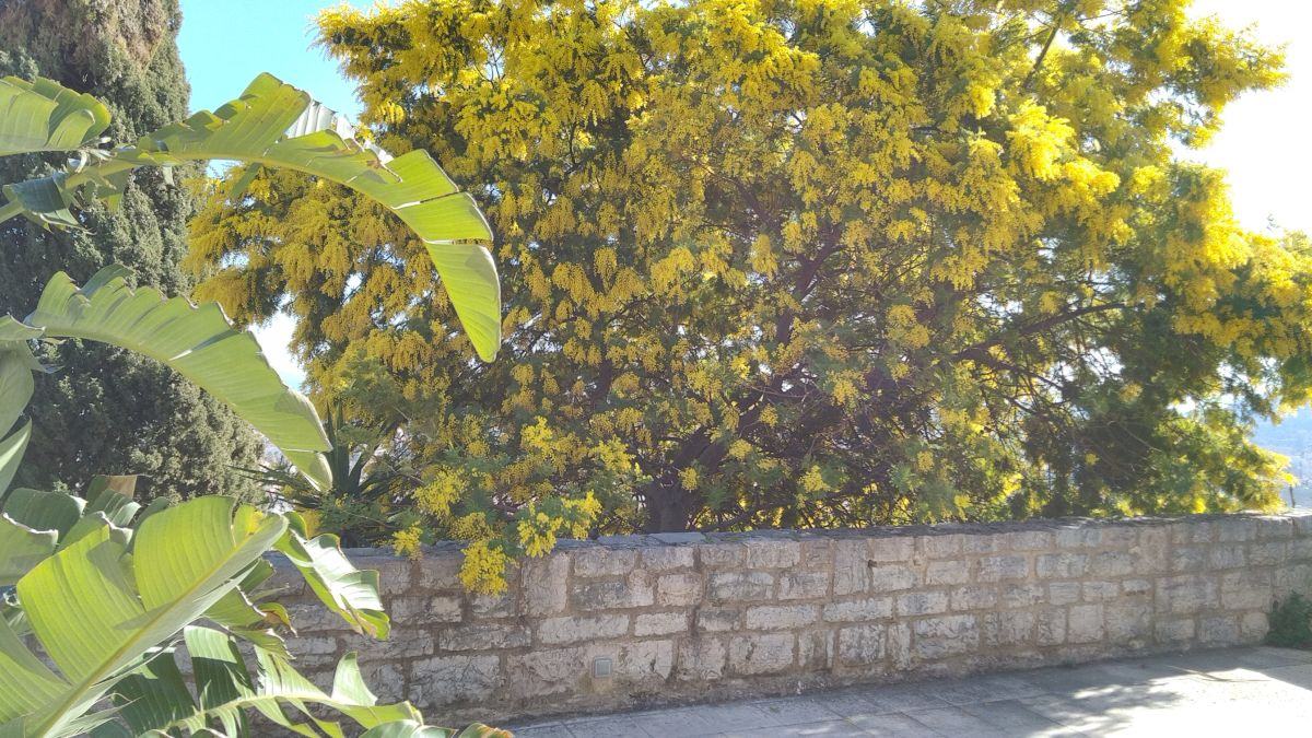 Hyères, les Maurettes, le château