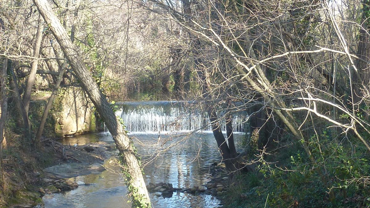 Pierrefeu, les Vidaux