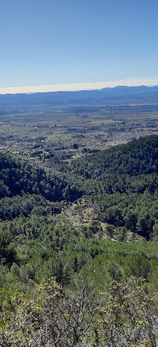 Rocbaron, résurgence du Grand Valat