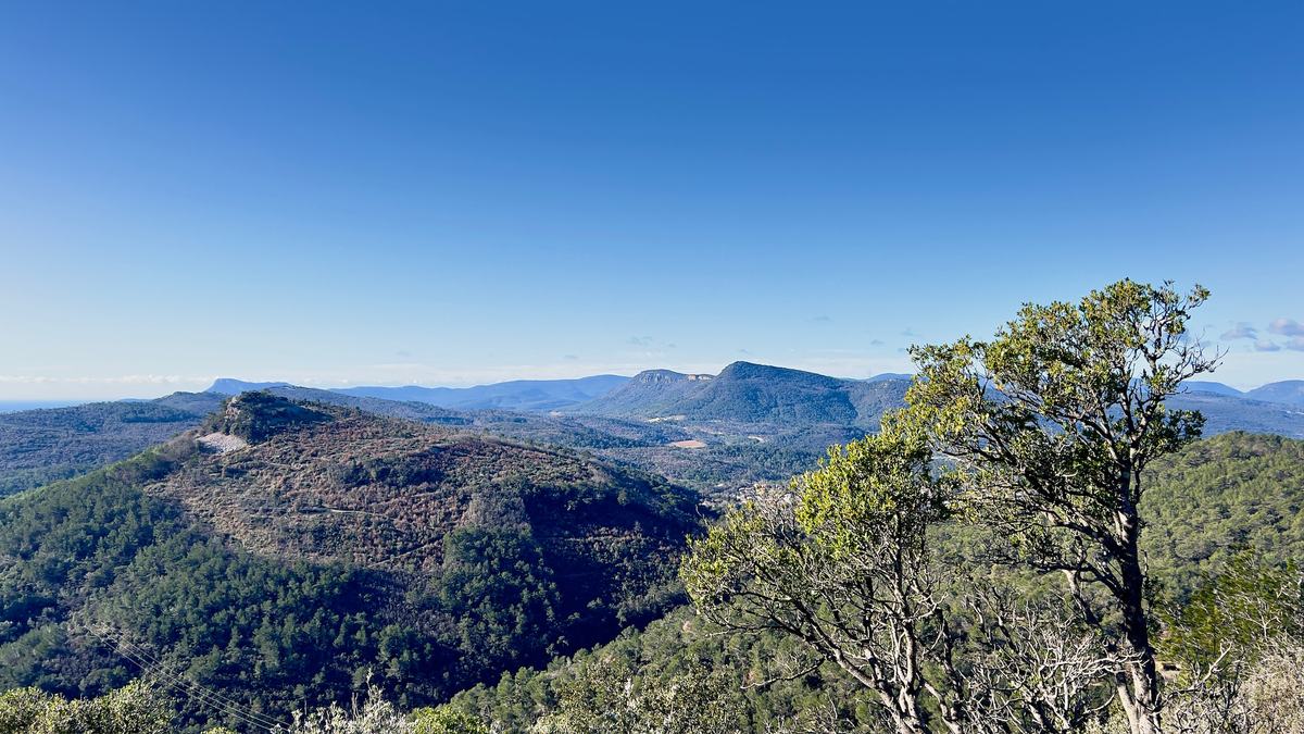 Rocbaron, résurgence du Grand Valat