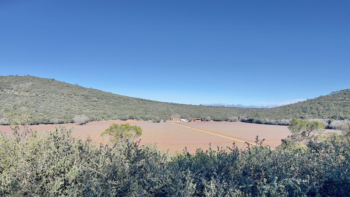 Rocbaron, résurgence du Grand Valat