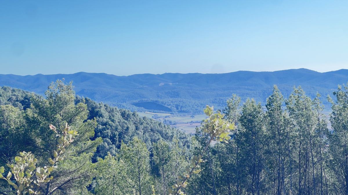 Rocbaron, résurgence du Grand Valat