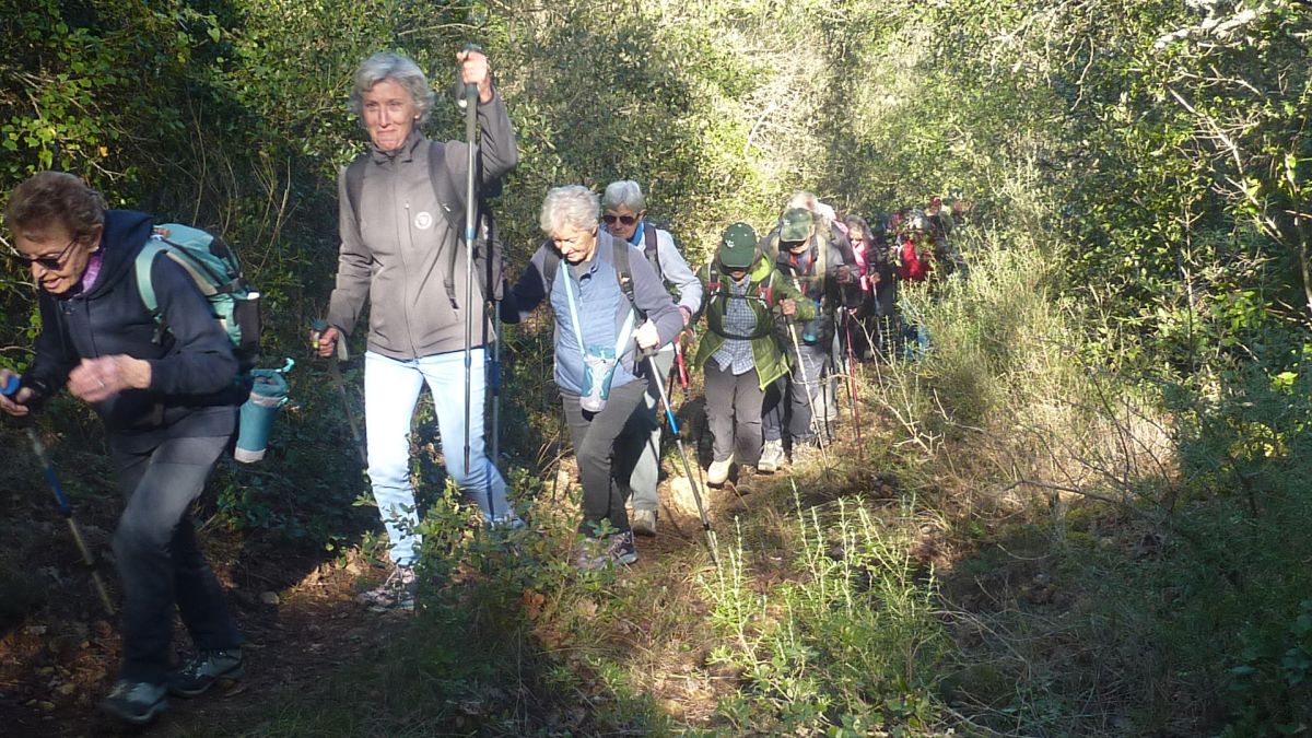 Néoules, plan de Séouve