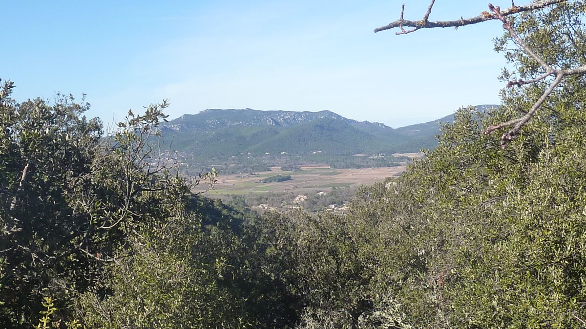 Néoules, plan de Séouve
