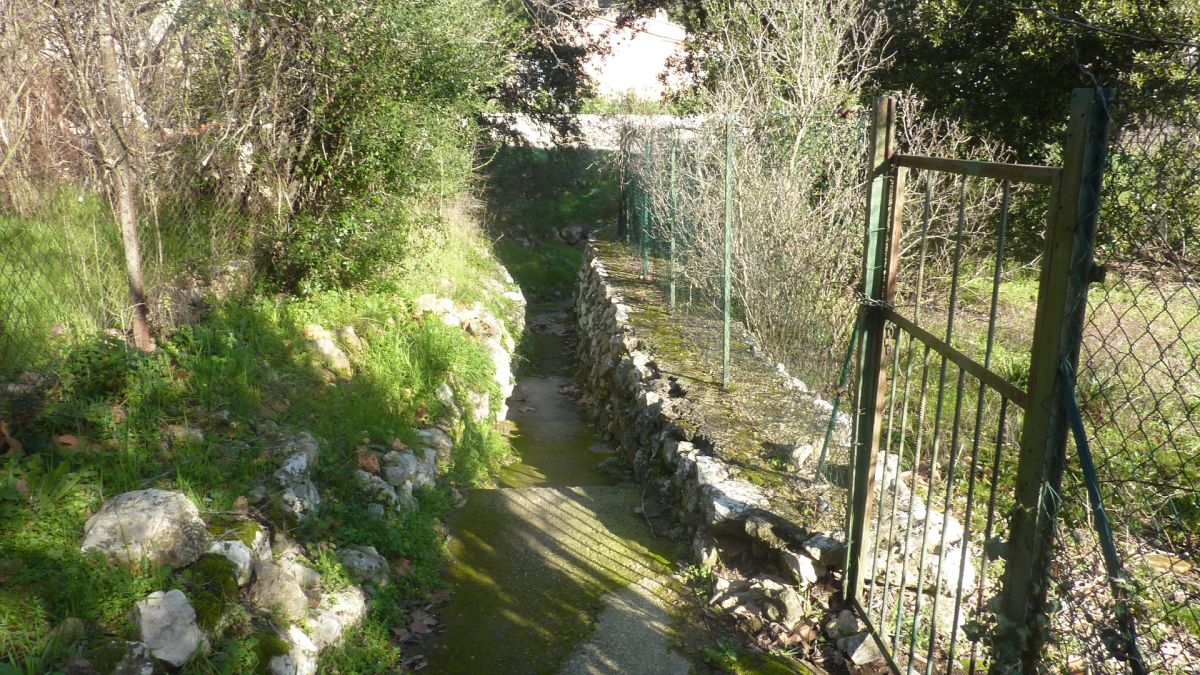 Le Thoronet, le Moutas