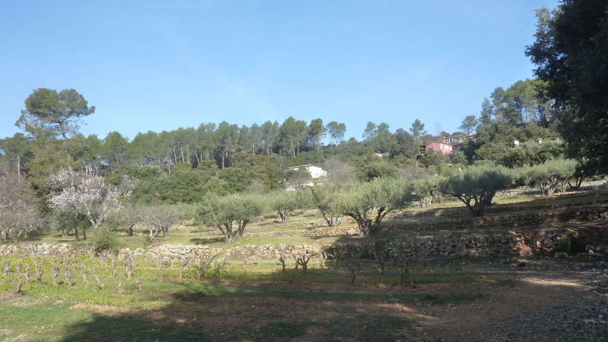 Le Thoronet, le Moutas