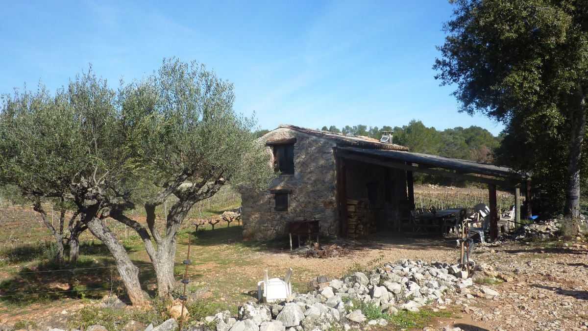 Le Thoronet, le Moutas