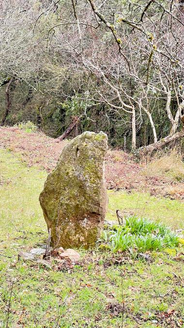 Besse, Saint						Quinis