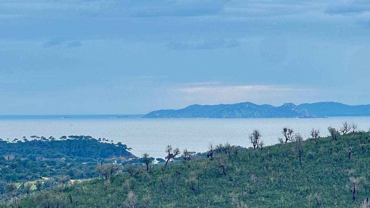La Londe, le Trapan