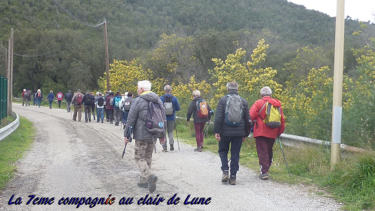 La Londe, le Trapan