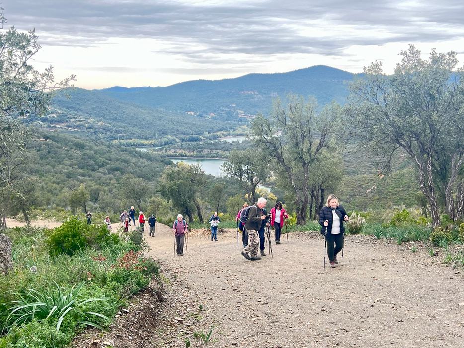 La Londe, le Trapan