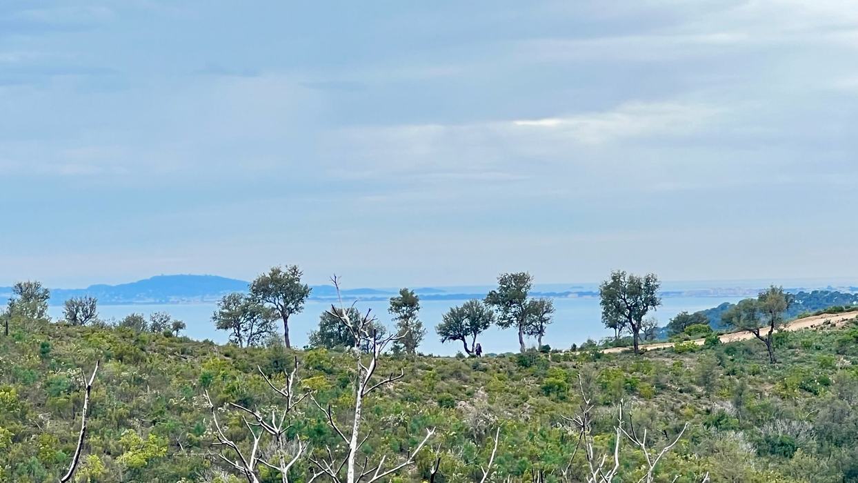 La Londe, le Trapan