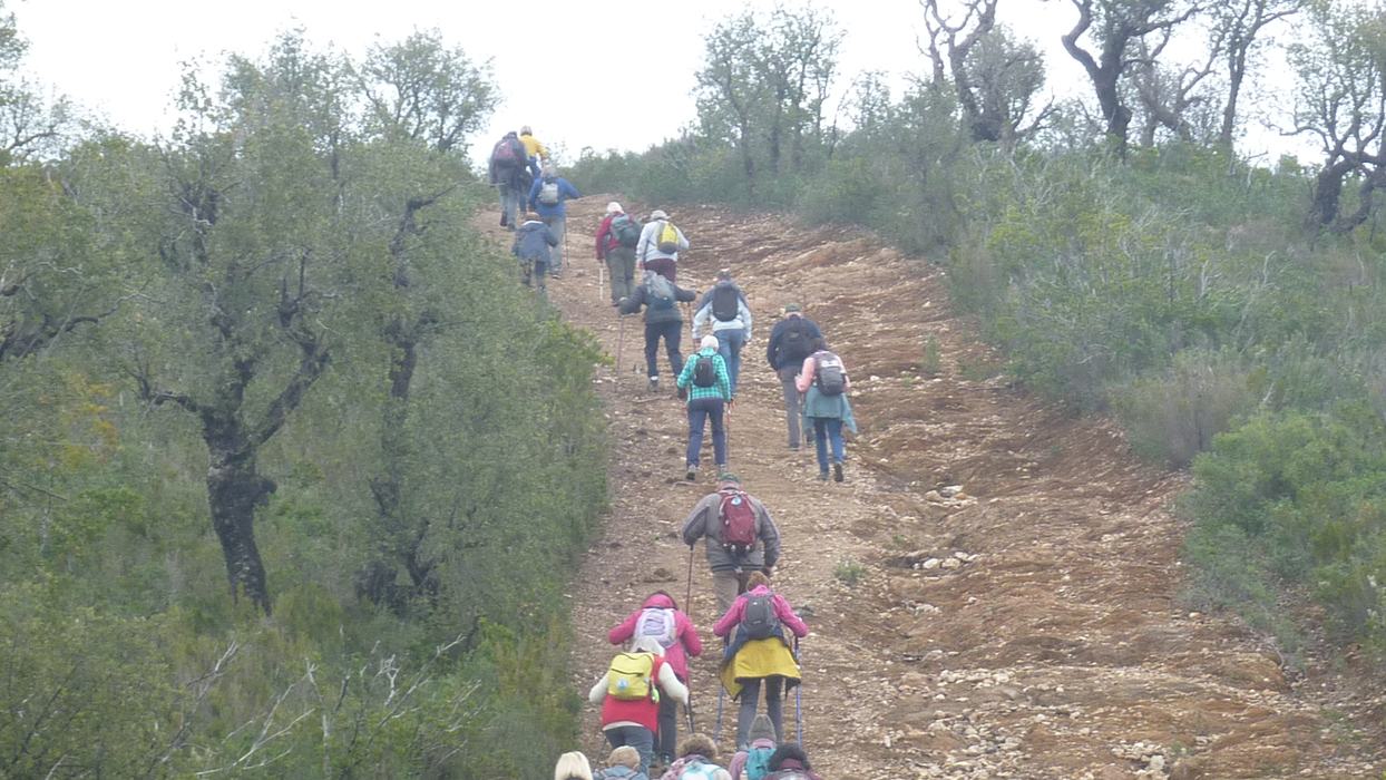 La Londe, le Trapan