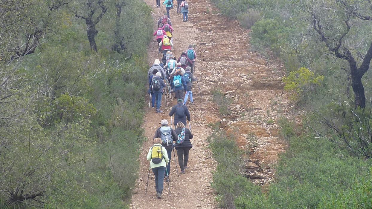 La Londe, le Trapan