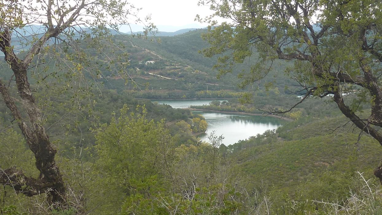 La Londe, le Trapan