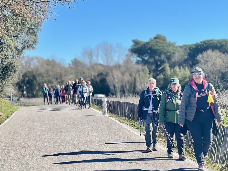 Les Borrels, font de la Truie