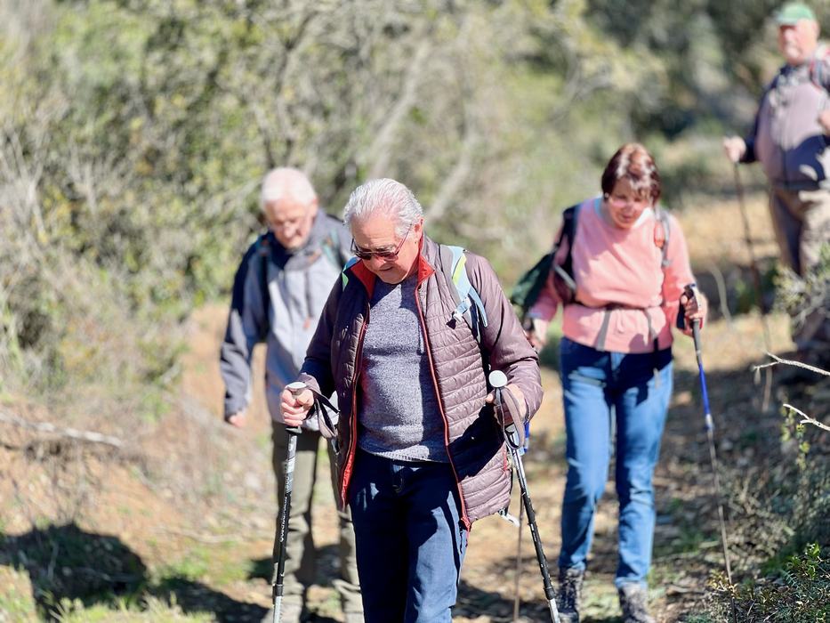 Les Borrels, font de la Truie