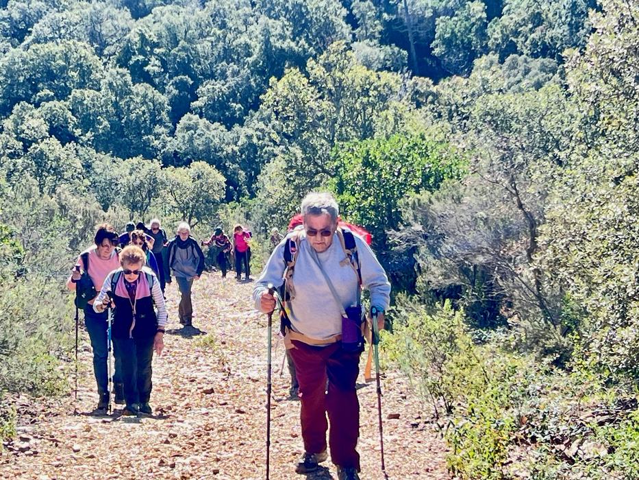 Les Borrels, font de la Truie