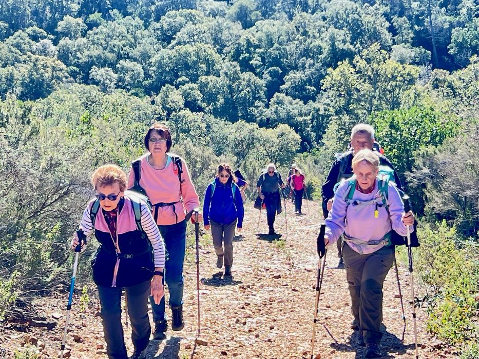 Les Borrels, font de la Truie