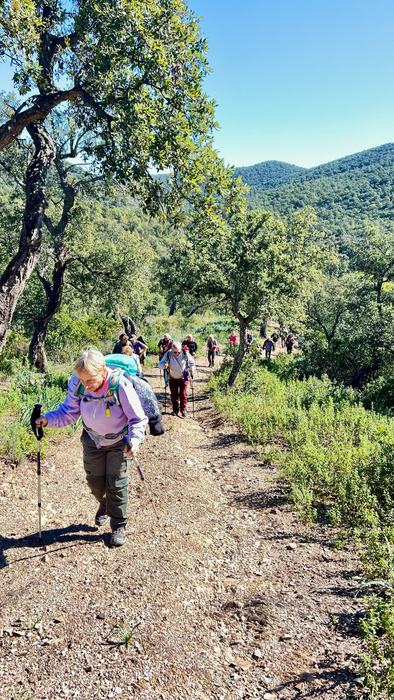 Les Borrels, font de la Truie