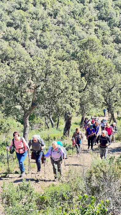 Les Borrels, font de la Truie