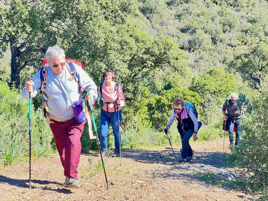 Les Borrels, font de la Truie